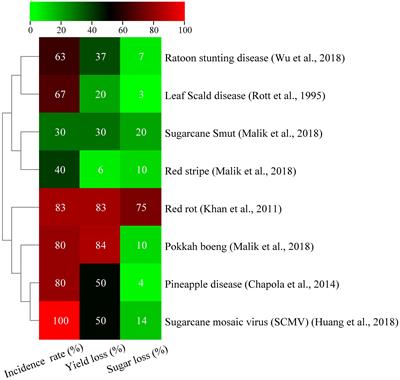 Factors affecting the production of sugarcane yield and sucrose accumulation: suggested potential biological solutions